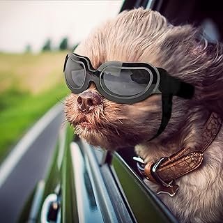 Stylish and Fun Pet/Dog Puppy UV Goggles Sunglasses Waterproof Protection Sun Glasses for Dog (Black, One Size)