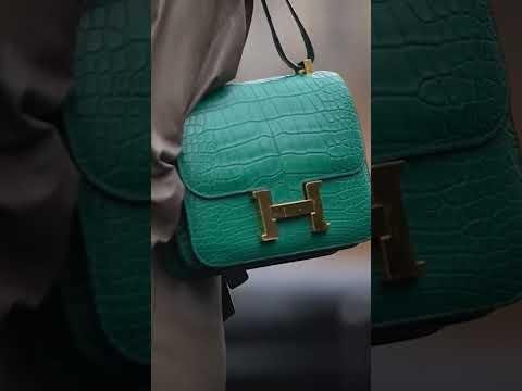 Chinese Pet Influencer Splurges $280K on Luxury Dog Fashion