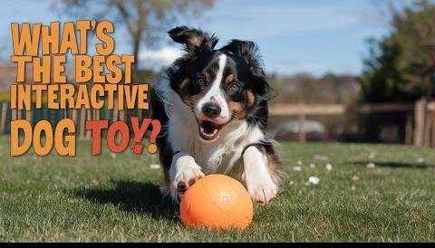 2025 Trends: Pet Fashion & Smart Dog Toys Revolutionize Play