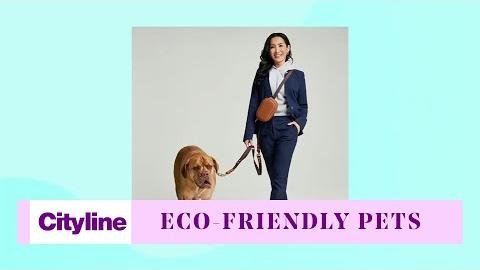 Pet Passion: Sustainable Dog Apparel by Fashion Industry Veteran