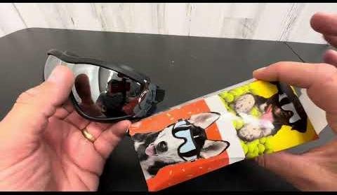 Wolfgang’s Doggles: A Tale of Resilience and Cosplay Sensation