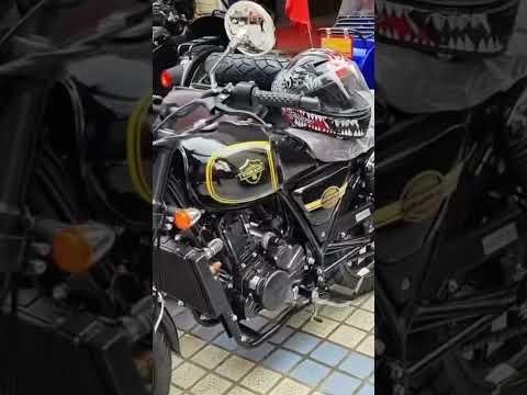 Labradoodle Arrow Delights Toronto Streets in Sidecar Motorcycle Adventure