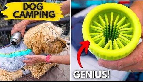 Man and Deaf Dogs Forge Unbreakable Bond on Outdoor Adventures