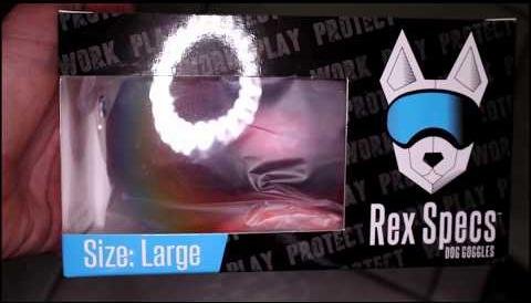 Anchorage Residents Prepare Pets with Volcanic Eruption Pet Gear