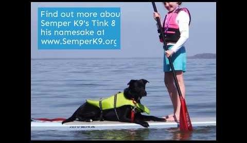 Community Unites to Support Service Dogs and Police K-9s