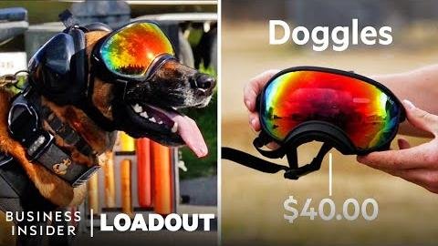 MoD Contracts Surrey Firm to Equip Military Dogs for Safety