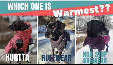 Top Picks: Best Dog Jackets for Cold Weather Comfort