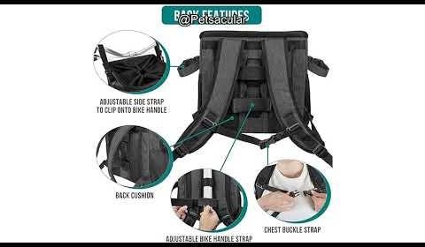 Best Dog Bike Baskets for Safe and Stylish Rides