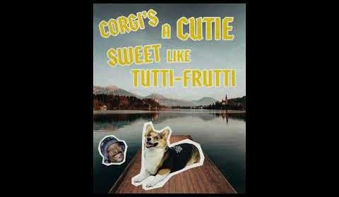 Snoop Dogg Launches Stylish Pet Apparel Line with Little Earth