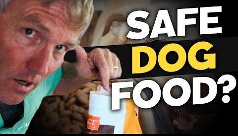 Veterinarians Recommend Top Dry Dog Foods for Canine Health