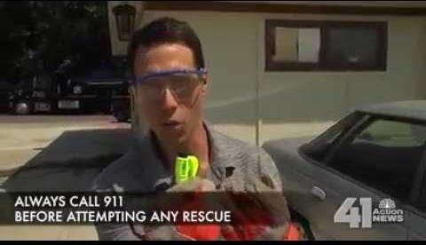 Washington Law Allows Breaking into Hot Cars to Save Lives