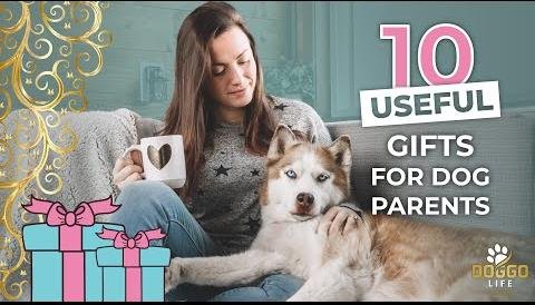Unique Gifts for Husky Lovers: From Stickers to Jewelry