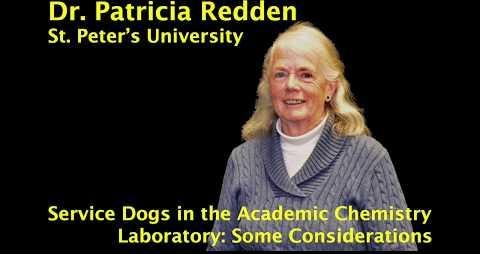 Labrador Service Dog Ariel Captivates University Chemistry Class