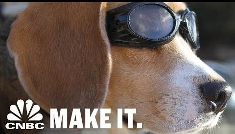 Border Collie Gus Thrives with UV-Resistant Doggles Solution