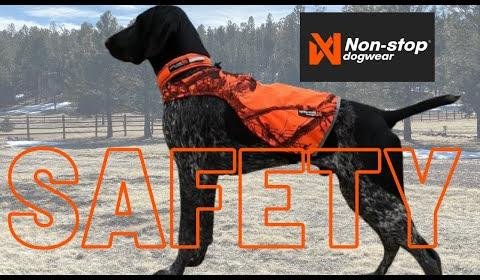 Essential Tactical Gear to Protect Your Dog Outdoors