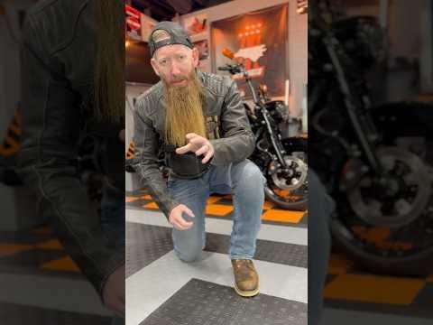 Beloved Motorcycle-Riding Bulldog Rosie Leaves Lasting Legacy