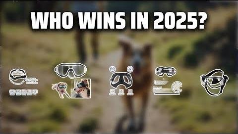 Doggles: The Trendy Eyewear Enhancing Dogs’ Safety and Style