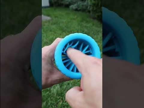 Nantucket’s Cold Noses Boutique: Pet Paradise by the Sea