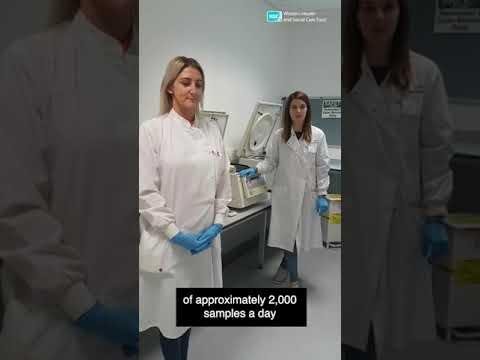 Service Dog Sam Enhances Student Sophie’s University Experience